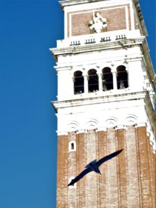 A pigeon flies in front of the famous campanile in St. Mark's Square.